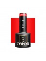 OCHO NAILS Fluo Gellak F04 -5 gr