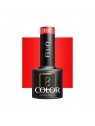 OCHO NAILS Fluo Gellak F04 -5 gr