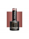 OCHO NAILS Gellak bruin 804 -5 gr
