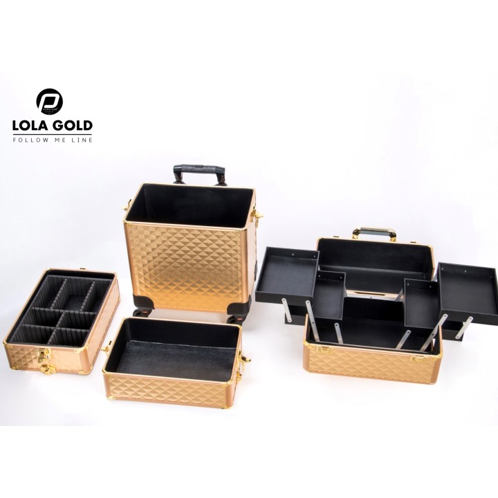 Lola Gold Visagie Koffer Clinic Club Follow Me Line