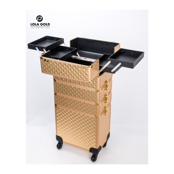 Lola Gold Visagie Koffer Clinic Club Follow Me Line