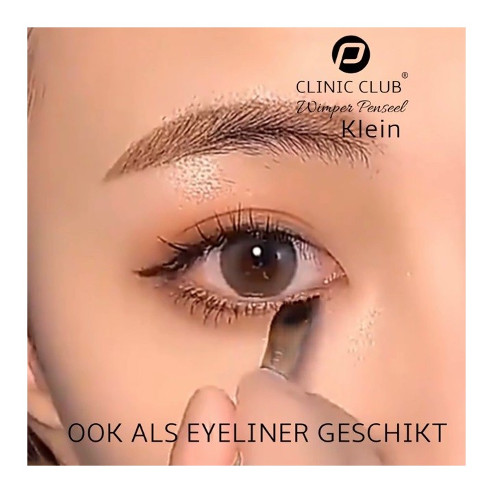 Wenkbrauwverf Penseel Schuin klein