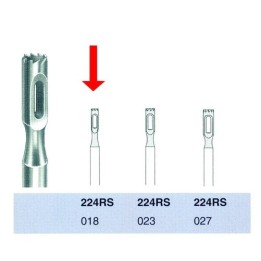 Busch frees 224RS-018