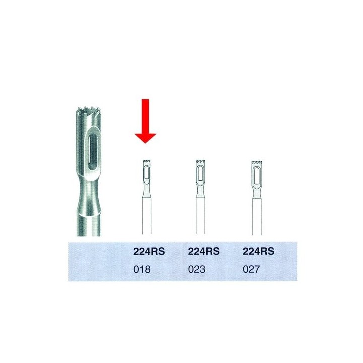 Busch frees 224RS-018