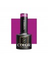 OCHO NAILS Gellak Sorbet S06 -5 g