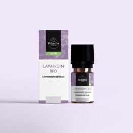 Volatile Lavandin Bio 10 ml