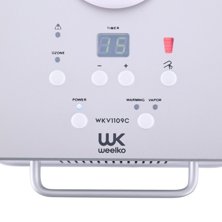 Vapozone met ozon Breeze