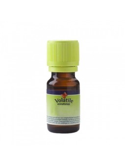 Volatile Jasmijn parfum 10 ml