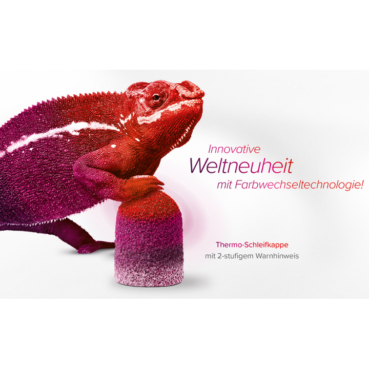 Slijpkap Thermo rond 10 mm korrel 80 zakje 10 st