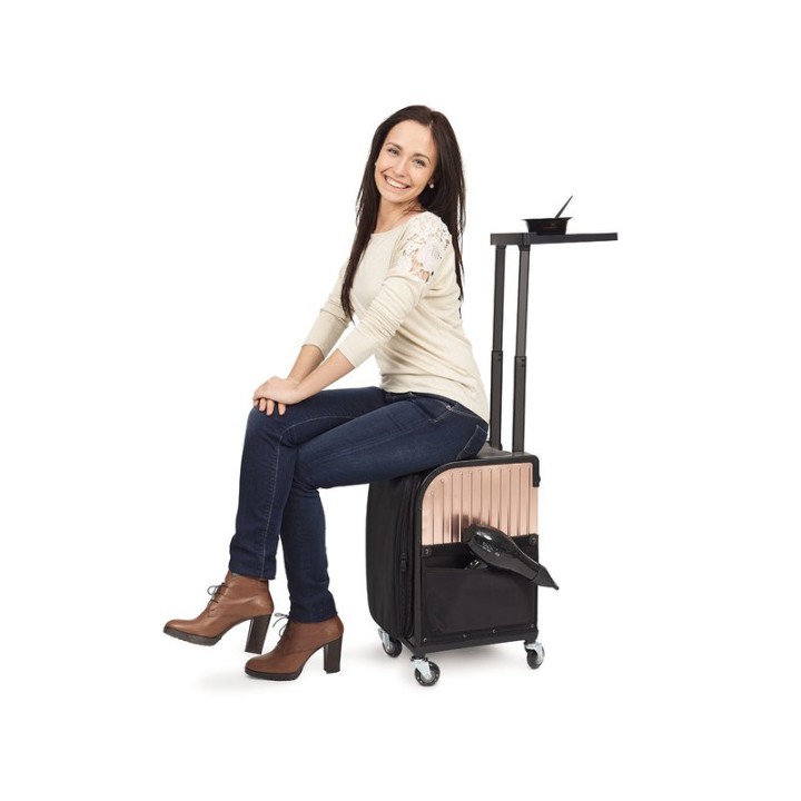 Rollercoaster Trolley Stool-Case Rose Goud Sibel