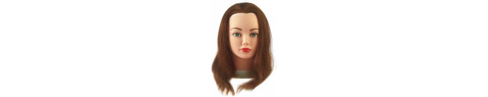 Oefenhoofd kapper dames en herenmodellen | Beautywaves