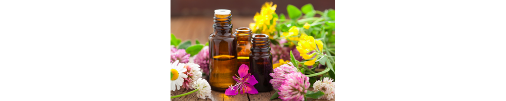 Volatile Hydrolaat bestellen | Beautywaves