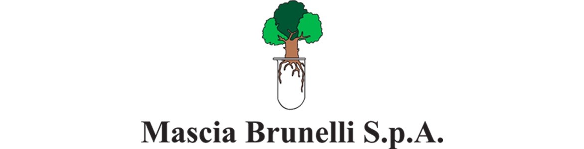 Mascia Brunelli